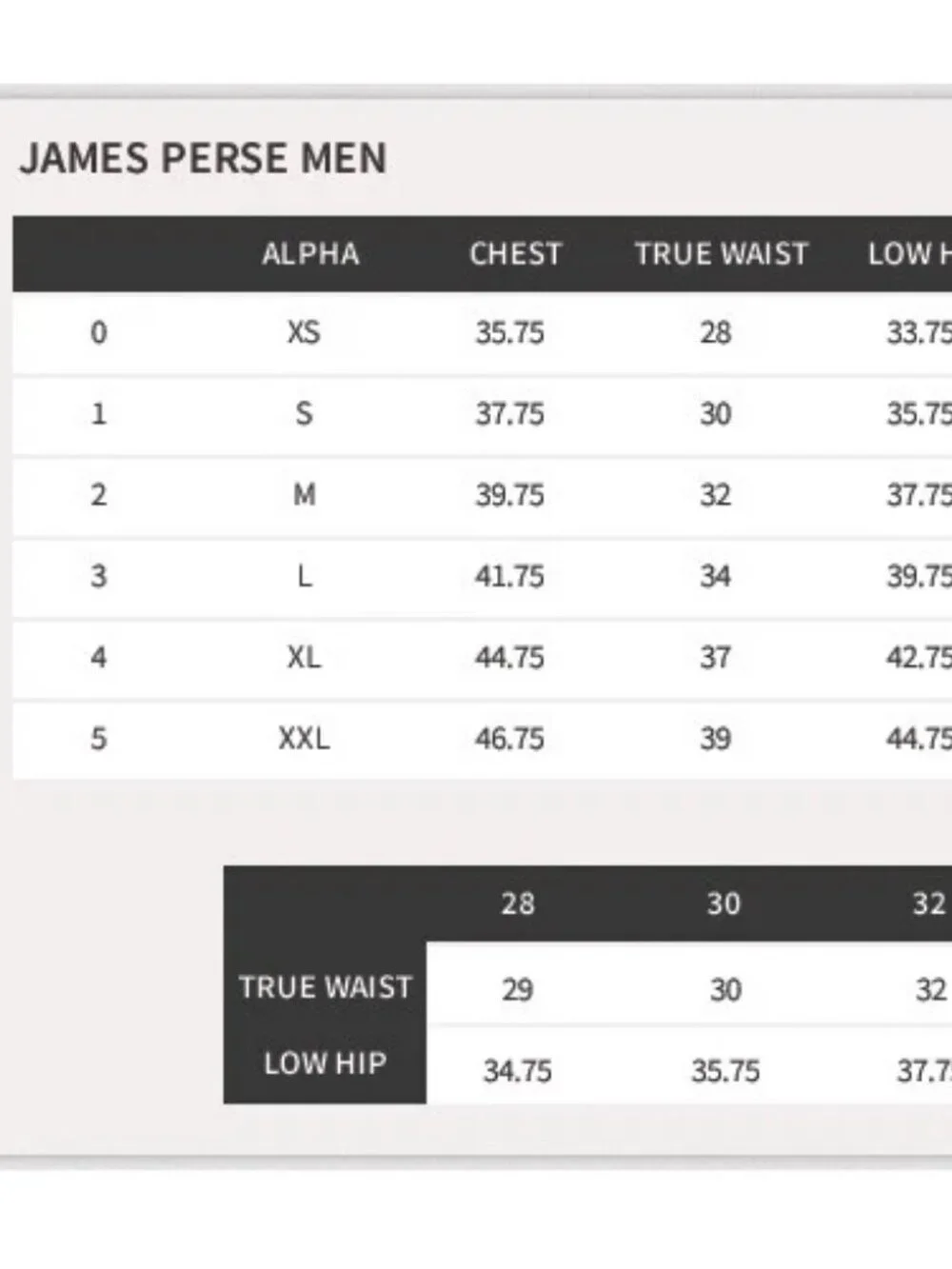 Mens Standard James Perse Black (Item- 156) Supima Cotton Polo Shirt 5 US/XXL - Picture 13 of 13